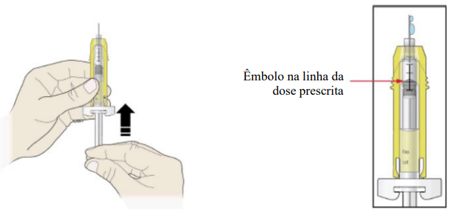 Empurre lentamente a haste do êmbolo até a linha do corpo da seringa que corresponda à dose prescrita